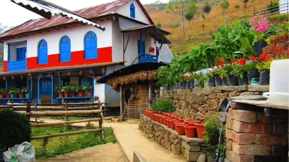 Homely Retreat at Bhojpur (Homestay)
