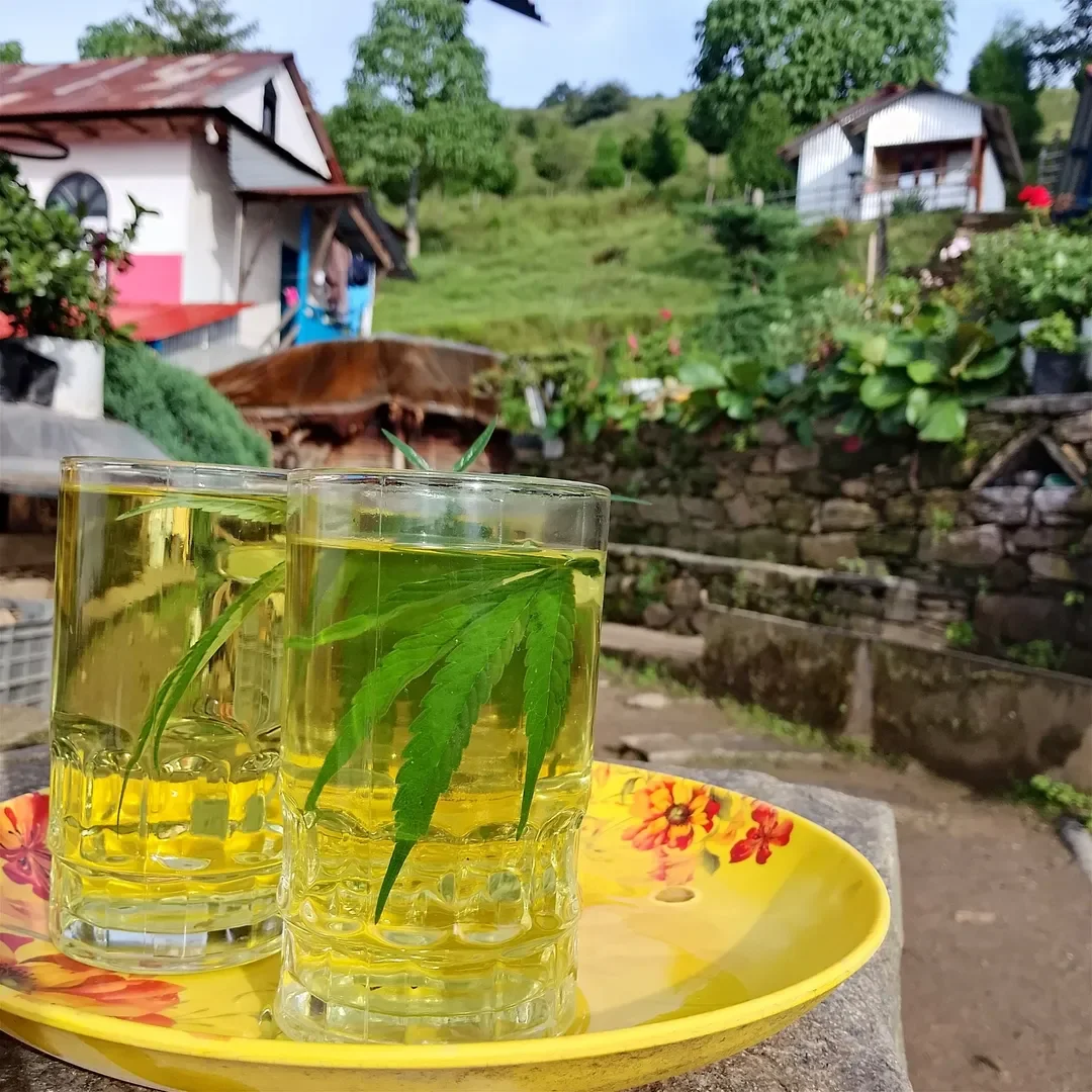 Homely Retreat at Bhojpur (Homestay)